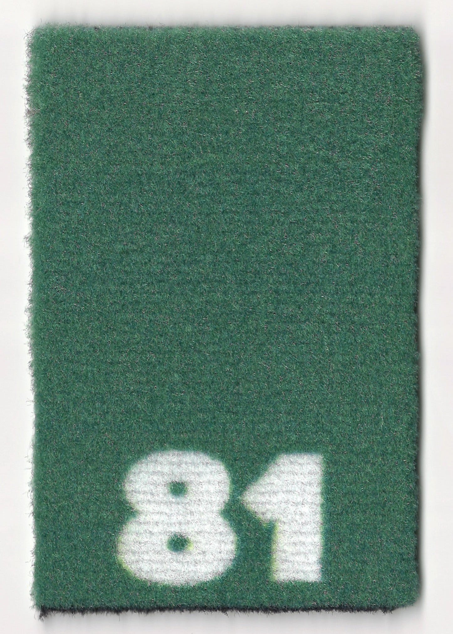 81 Thyme Traveler
