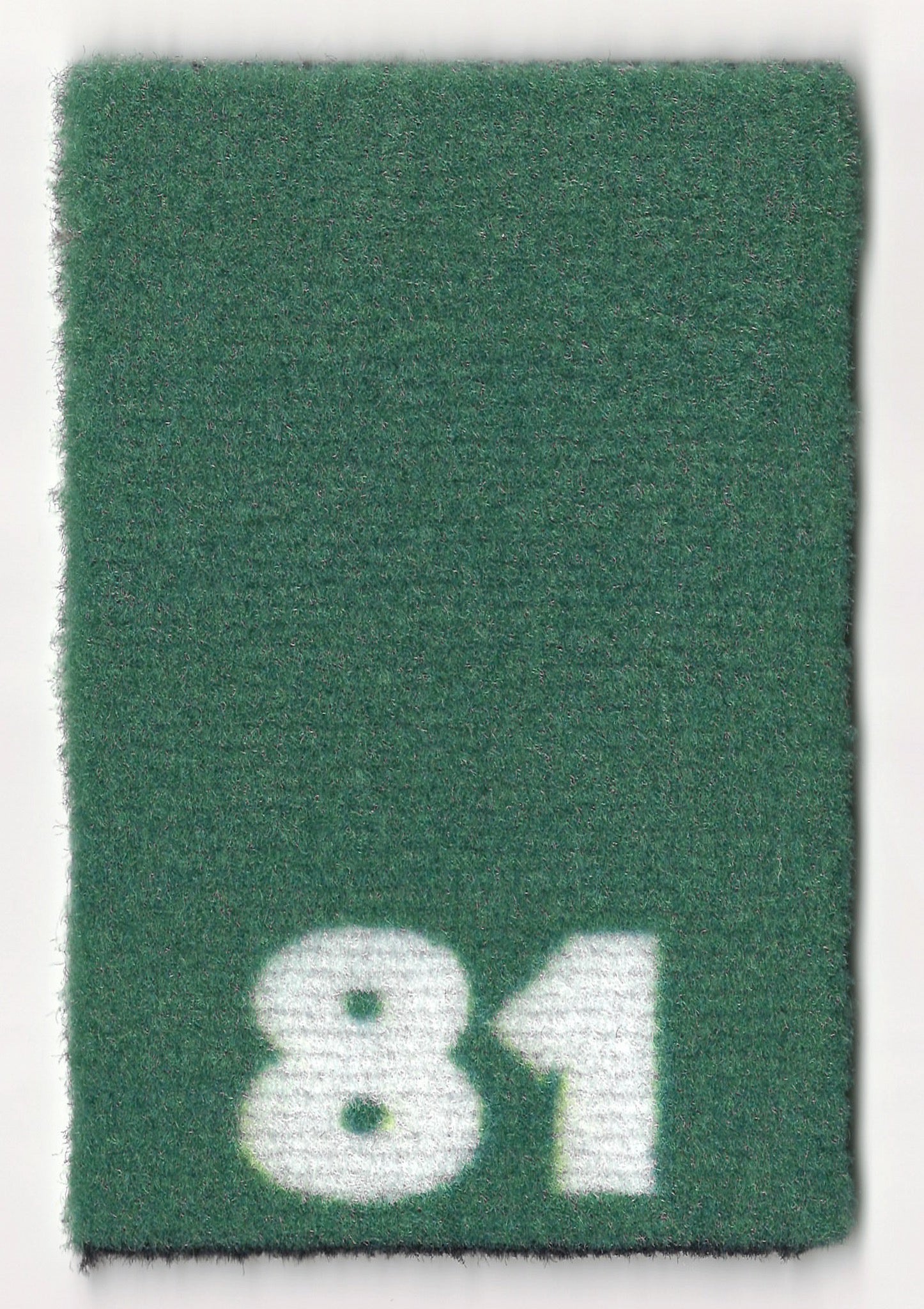 81 Thyme Traveler