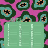 Verjaardags kalender grafisch