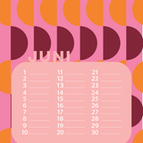 Verjaardags kalender grafisch